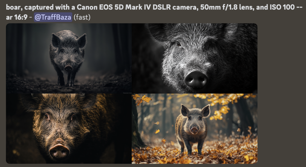 Промт: boar, captured with a Canon EOS 5D Mark IV DSLR camera, 50mm f/1.8 lens, and ISO 100 --ar 16:9